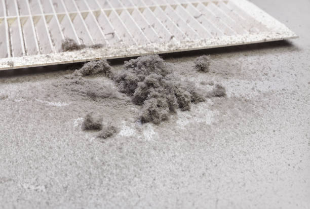 Best Commercial Air Duct Cleaning  in Palm Harbor, FL