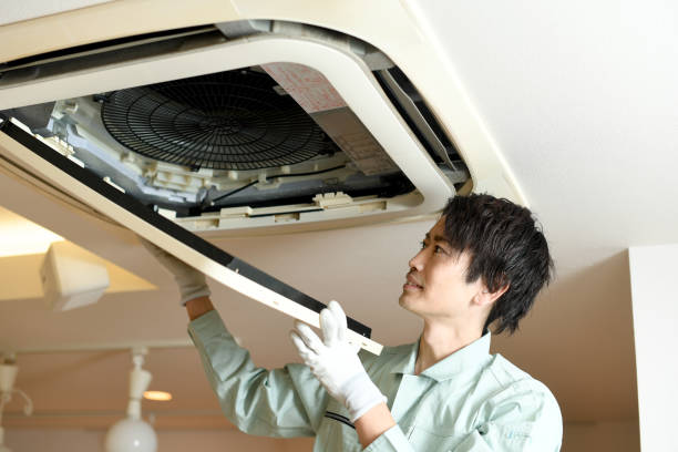 Affordable HVAC Duct Cleaning in Palm Harbor, FL